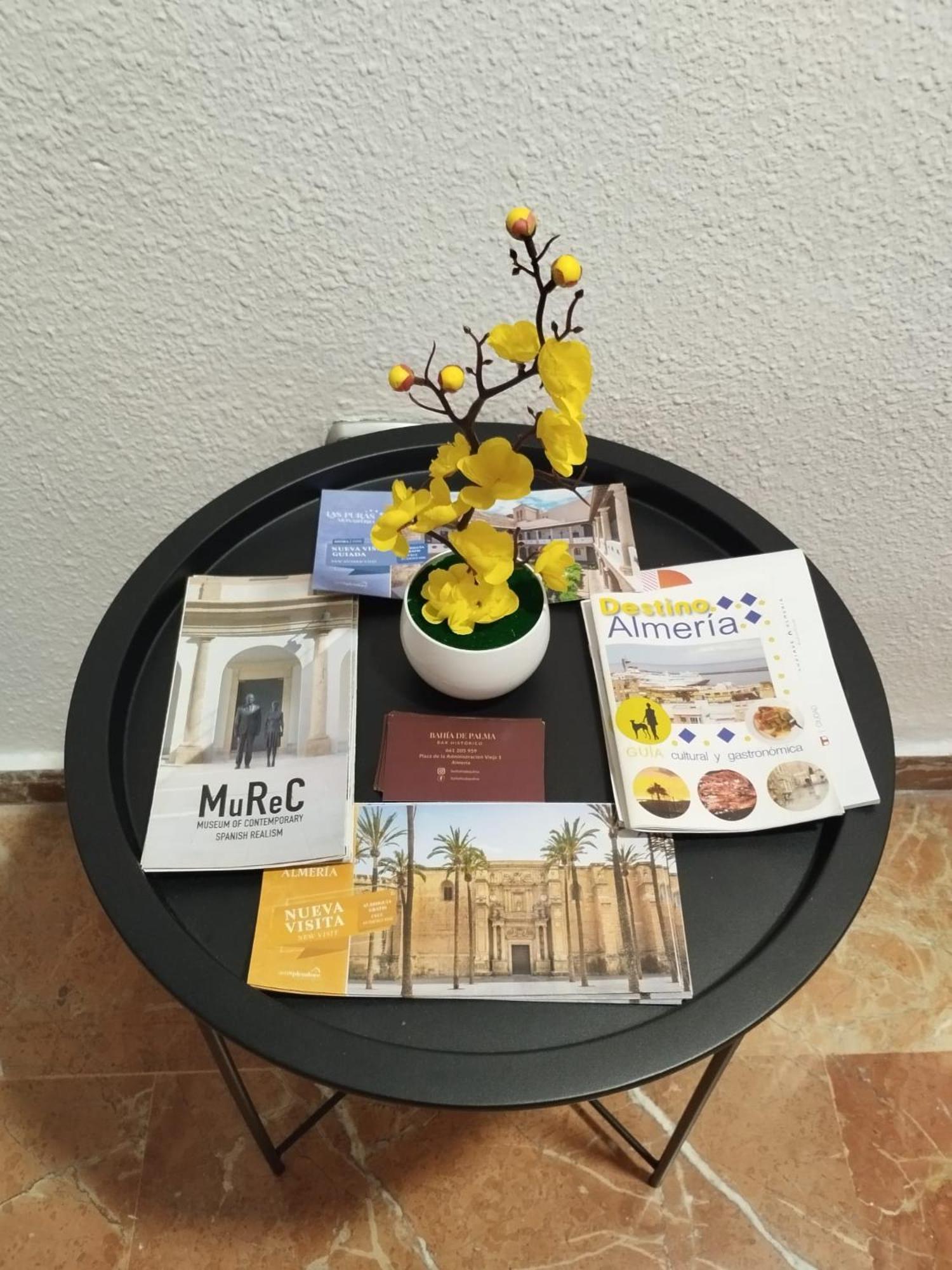 阿尔梅里亚Piso Museo Del Realismo - Catedral - Alcazaba Con Parking Gratis - Super Wifi公寓 外观 照片